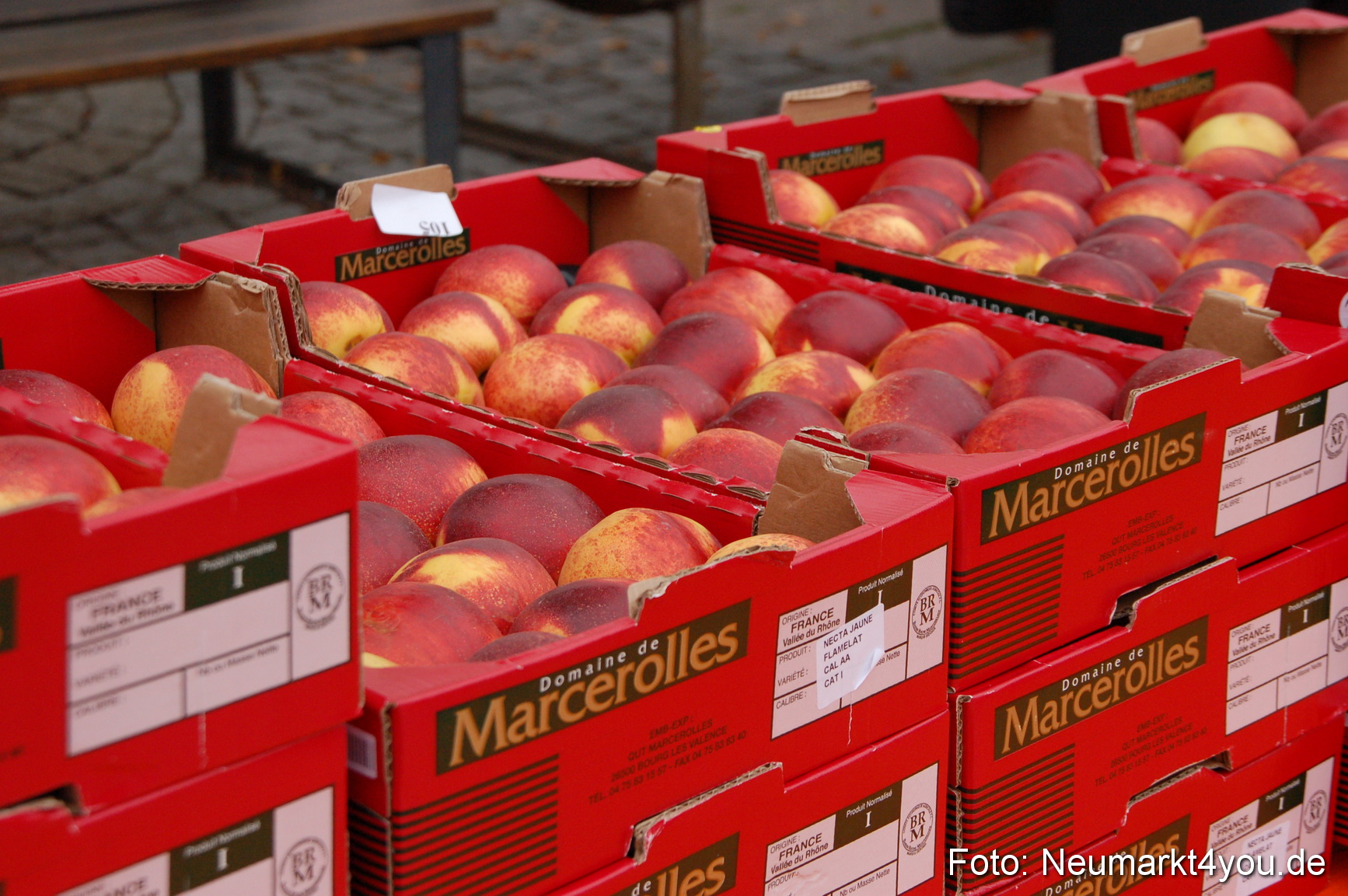 0001 Stadtlauf Neumarkt 2008